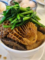 Beef Tendons